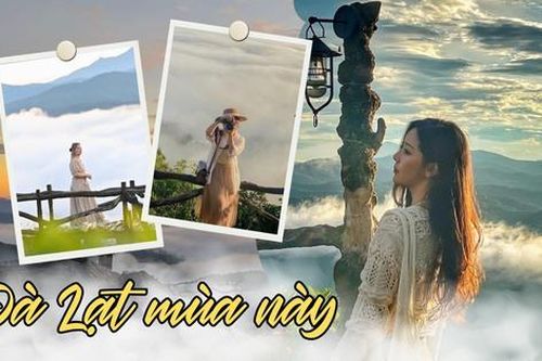Săn mây mùa mưa Đà Lạt đẹp đến bất ngờ