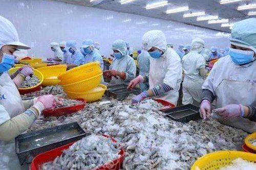 Sao Ta (FMC): Lãi ròng quý II giảm 35%, nhưng tín hiệu phục hồi đã rõ hơn trong tháng 6