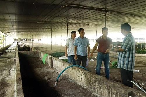 Trang trại dừng hoạt động để xử lý môi trường