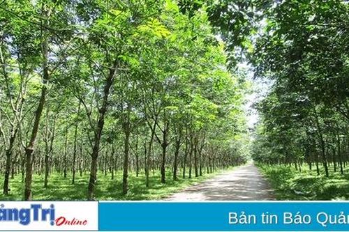 Sáng đẹp miền trung du Hải Thái