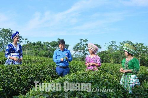 Quyết sách đúng, tạo lòng tin: Bài cuối - Gieo hạt giống đỏ