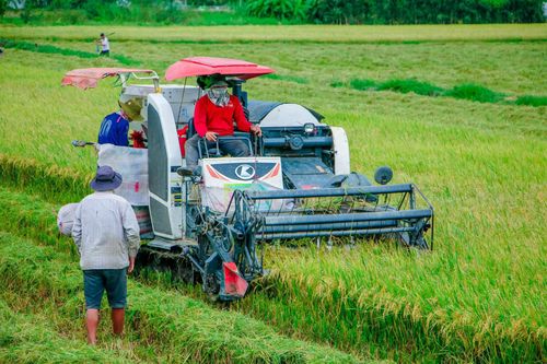 Tháo gỡ khó khăn, thúc đẩy triển khai thực hiện 3 chương trình mục tiêu quốc gia