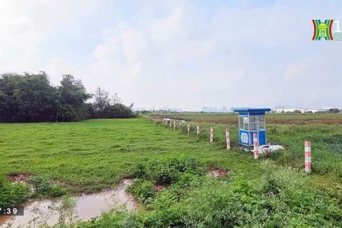 Cảnh hoang tàn tại KĐT sinh thái Đồng Mai
