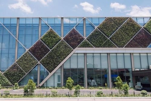 Honda Việt Nam hướng đến trung hòa carbon, không có tử vong do tai nạn giao thông