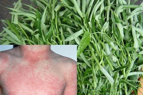 Những trường hợp nào không nên ăn rau muống