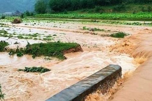 Cảnh báo mưa lũ lớn, sạt lở đất tại nhiều địa phương, người dân phải làm gì?