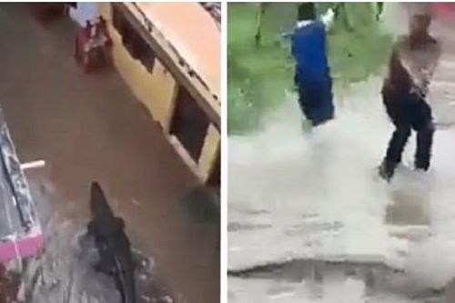 Video cá sấu bơi tự do vào khu dân cư vì đường phố ngập lụt ở Ấn Độ
