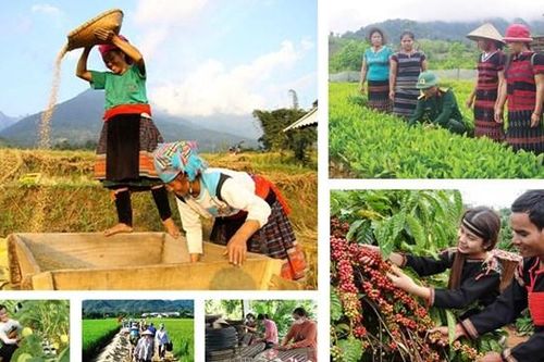Tháo gỡ khó khăn, thúc đẩy triển khai thực hiện 3 chương trình Mục tiêu quốc gia