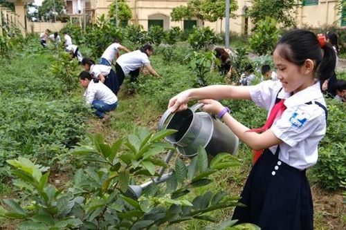 Bảo vệ môi trường từ lối sống xanh