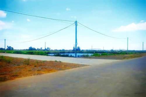 Anh muốn ôm cả đất...!