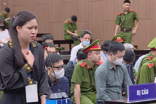 'Bị cáo như chim sợ cành cong'