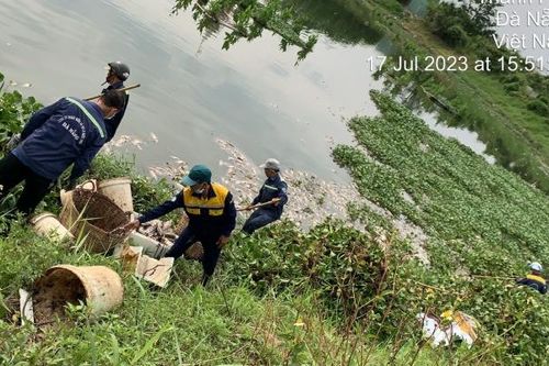 Đà Nẵng: Hàng tấn cá chết sau cơn mưa đầu mùa ở các kênh, hồ