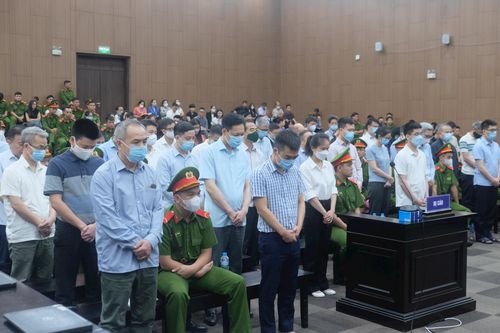 Các bị cáo vụ 'chuyến bay giải cứu' đồng loạt xin HĐXX giảm nhẹ hình phạt