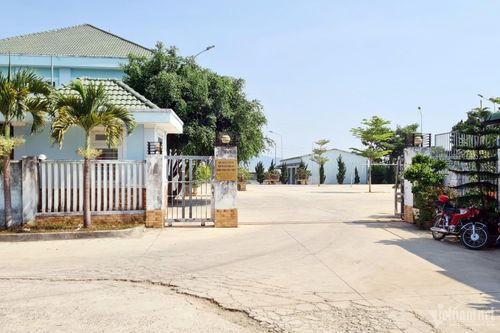 Đình chỉ, làm rõ trách nhiệm gói thầu vi phạm luật