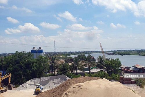 Hải Phòng: 63/70 vụ vi phạm đê điều chưa được xử lý dứt điểm