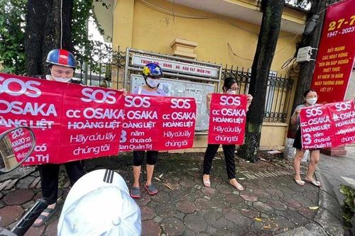 Chung cư Osaka Complex: Nhiều mâu thuẫn tích tụ