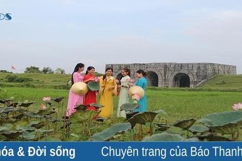 Thơm ngát hương sen trong Di sản Thành Nhà Hồ