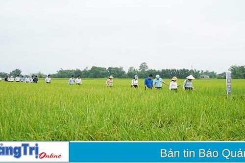 Đẩy mạnh công tác truyền thông khuyến nông