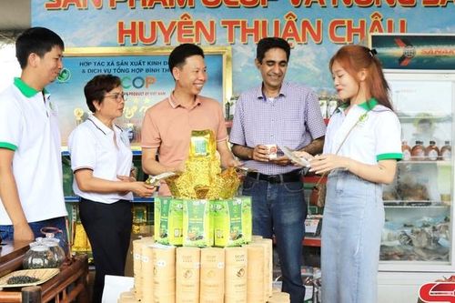 Tư vấn, hỗ trợ thu hút đầu tư