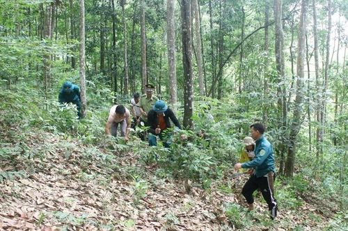 Bản Púm giữ xanh rừng