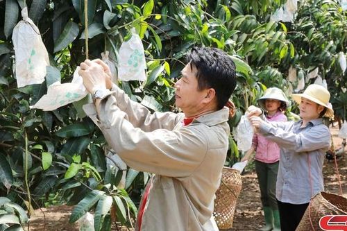 Đồng hành cùng nông dân làm giàu