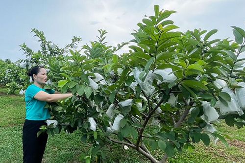 TP. Sông Công: Nhiều hoạt động hỗ trợ phụ nữ thoát nghèo