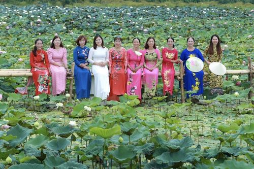 Vĩnh Phúc: Tà áo dài khoe sắc bên hồ sen thôn Đông (Phú Đa - Vĩnh Tường)