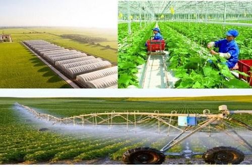 'Nhà nông công nghệ' phải tiếp cận được chính sách ưu đãi