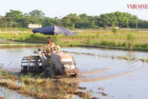 HTX Dục Tú nuôi giấc mơ đánh thức tiềm năng cho 'hạt gạo làng ta'