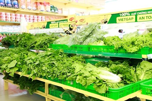 Tìm mô hình rau an toàn để gây dựng niềm tin cho người tiêu dùng