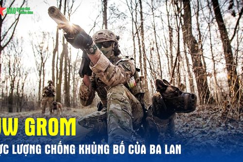 Sức mạnh lực lượng chống khủng bố JW GROM của Ba Lan