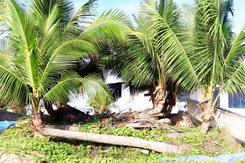 Ấn tượng Phú Quốc