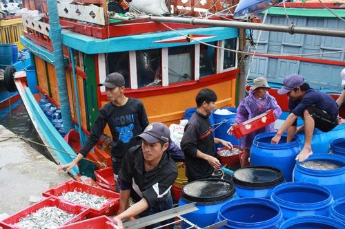 Quảng Ngãi đẩy mạnh tuyên truyền, bảo vệ chủ quyền biển đảo gắn phát triển kinh tế biển