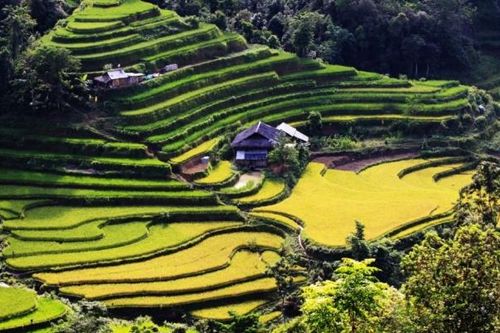 Hà Giang phát triển du lịch vùng biên