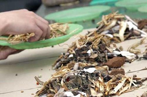 Tăng đường huyết, nhiễm khuẩn nặng sau hai tháng uống thuốc nam chữa tiểu đường