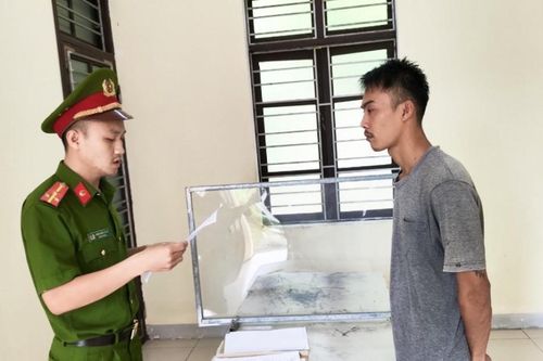 Khởi tố con rể trộm lợn đất và tiền của bố vợ