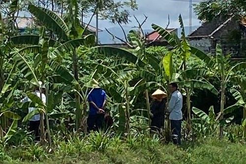 Bé 3 tuổi tử vong do rơi xuống bể chứa chất thải nhà hàng xóm