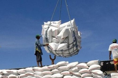 Ấn Độ cấm xuất khẩu gạo: Đòn giáng mạnh vào thương mại nội địa