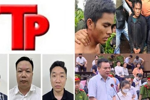 Bản tin Hình sự: Chủ quán karaoke môi giới cho khách mua dâm