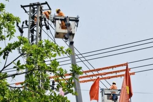 Sắc cam trong nắng