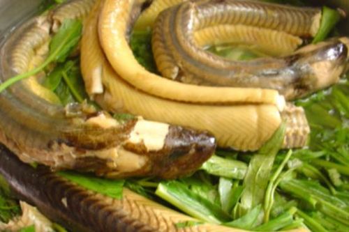 Lươn tốt cho sức khỏe nhưng ai không nên ăn?