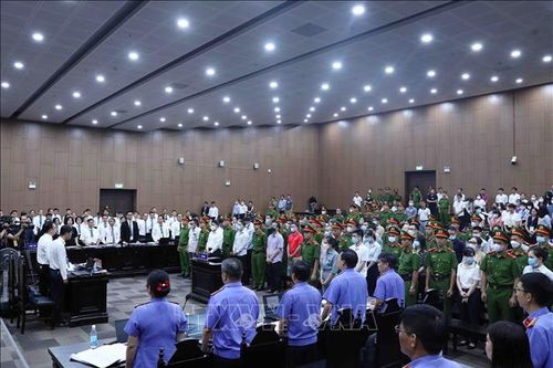 Vụ 'Chuyến bay giải cứu': Đủ cơ sở xác định hành vi phạm tội của Hoàng Văn Hưng