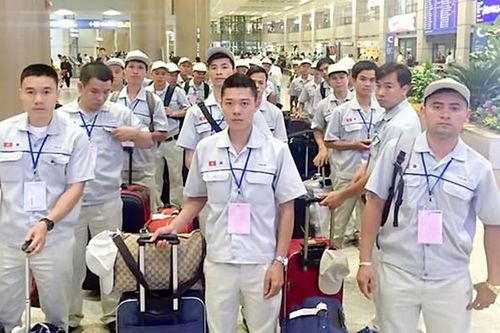Những điều thực tập sinh Việt Nam cần biết khi sang làm việc tại Nhật Bản