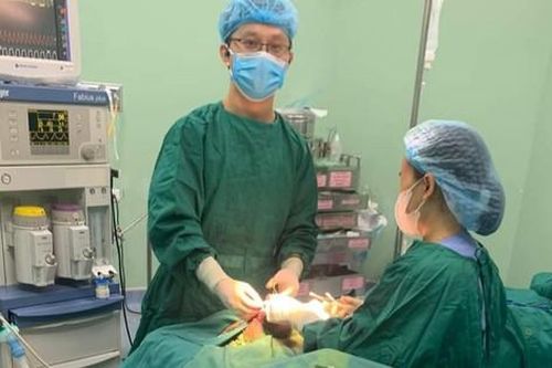 Bé trai 5 tuổi bị chó cắn nát vùng mặt