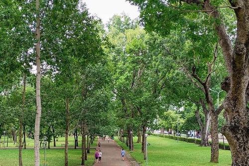 TP.HCM đã tăng được gần 22 ha công viên công cộng và gần 10 ha mảng xanh