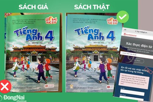 Sách giả 'tấn công' trường học