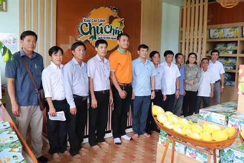 Giao lưu kết nối sản xuất và tiêu thụ xoài