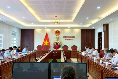 Phó Chủ tịch UBND tỉnh Nguyễn Thị Thanh Lịch: Đảm bảo thuốc, vật tư y tế, làm tốt công tác chăm sóc sức khỏe người dân
