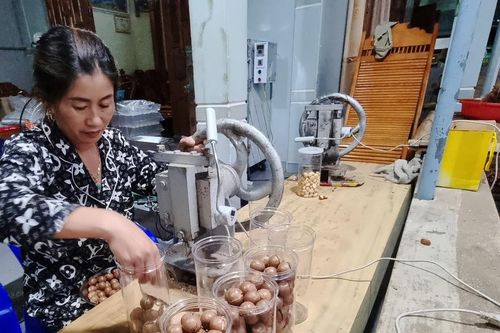 Mắc ca: Từ 'kép phụ' trở thành cây trồng chủ lực