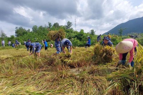 Tuổi trẻ Tiểu đoàn 1, Học viện Hải quân tham gia tình nguyện tại xã Khánh Trung